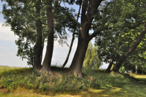 Wir lernen auch die Natur-Kraftplätze in unserer Umgebung kennen